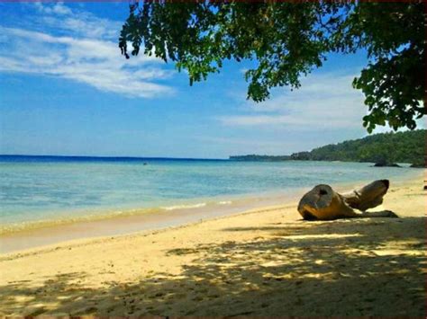 infanta, quezon beach resorts list|Treasure Island Beach Resort, Infanta .